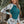 Palm Leaf Print Ruched Two Pieces Rash Guard Sets