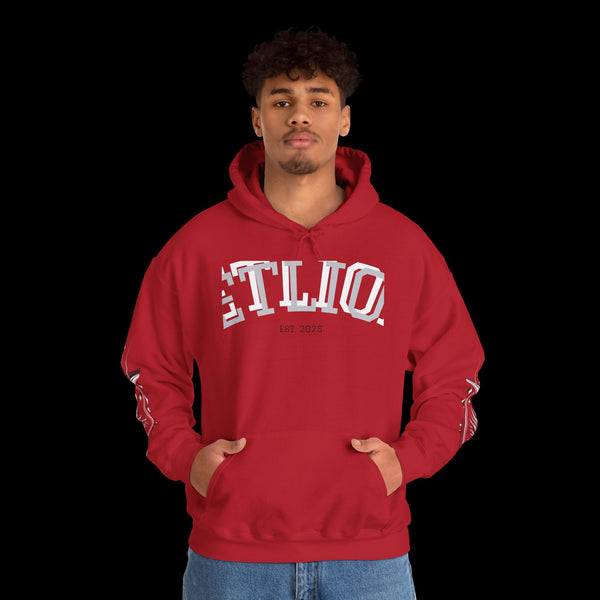 Manifest by JetLion Streak Hoodie:  Unisex Luxury Streetwear Hoodies x Gift for Him x JetLion Signature Drop