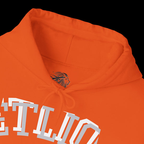 Manifest by JetLion Streak Hoodie:  Unisex Luxury Streetwear Hoodies x Gift for Him x JetLion Signature Drop