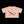 Phrazorblade by JetLion Presents: L.O.T.U.S. | Live, Observe, Think, Understand, Sacrifice - Perfect for Casual Outings, Spring Celebrations, Yoga, and Summer Festivals