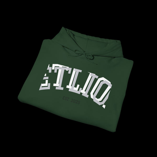 Manifest by JetLion Streak Hoodie:  Unisex Luxury Streetwear Hoodies x Gift for Him x JetLion Signature Drop