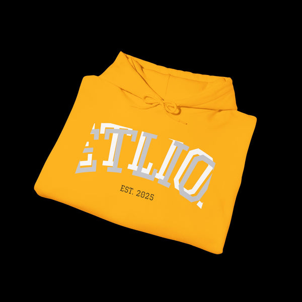 Manifest by JetLion Streak Hoodie:  Unisex Luxury Streetwear Hoodies x Gift for Him x JetLion Signature Drop