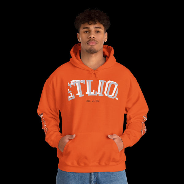 Manifest by JetLion Streak Hoodie:  Unisex Luxury Streetwear Hoodies x Gift for Him x JetLion Signature Drop