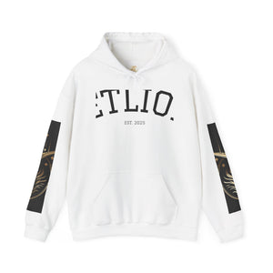 Manifest Hoodie:  Unisex Luxury Streetwear x Gift for Him x JetLion Signature Drop (Copy)