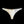 Diamond Edition Intimates: Vibrant Luxuries by JetLion | Women Bold, Confident, and Chic White Thongs