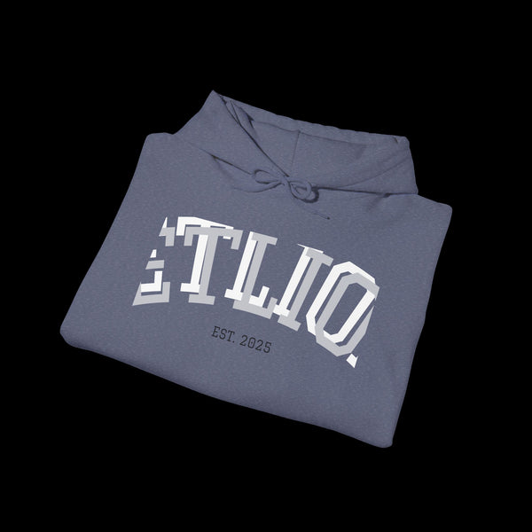 Manifest by JetLion Streak Hoodie:  Unisex Luxury Streetwear Hoodies x Gift for Him x JetLion Signature Drop