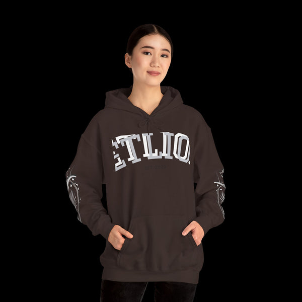 Manifest by JetLion Streak Hoodie:  Unisex Luxury Streetwear Hoodies x Gift for Him x JetLion Signature Drop