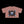 Phrazorblade by JetLion Presents: L.O.T.U.S. | Live, Observe, Think, Understand, Sacrifice - Perfect for Casual Outings, Spring Celebrations, Yoga, and Summer Festivals