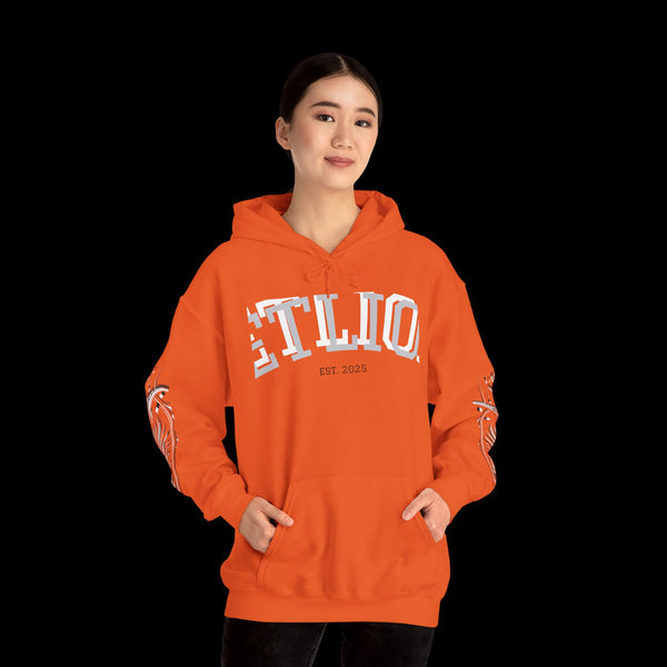 Manifest by JetLion Streak Hoodie:  Unisex Luxury Streetwear Hoodies x Gift for Him x JetLion Signature Drop