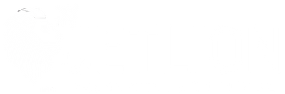 JetLion